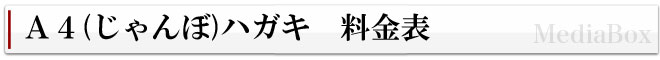 A4両面カラー印刷はがき+発送