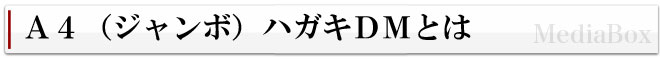A4(ジャンボ)ハガキDMとは