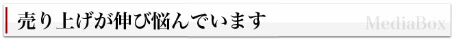 売り上げが伸び悩んでいます