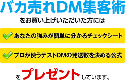 バカ売れDM集客術をお買い上げいただいた方には
「あなたの強みが簡単にわかるチェックシート」「プロが使うテストDM発送数を決める公式」をプレゼントしています。